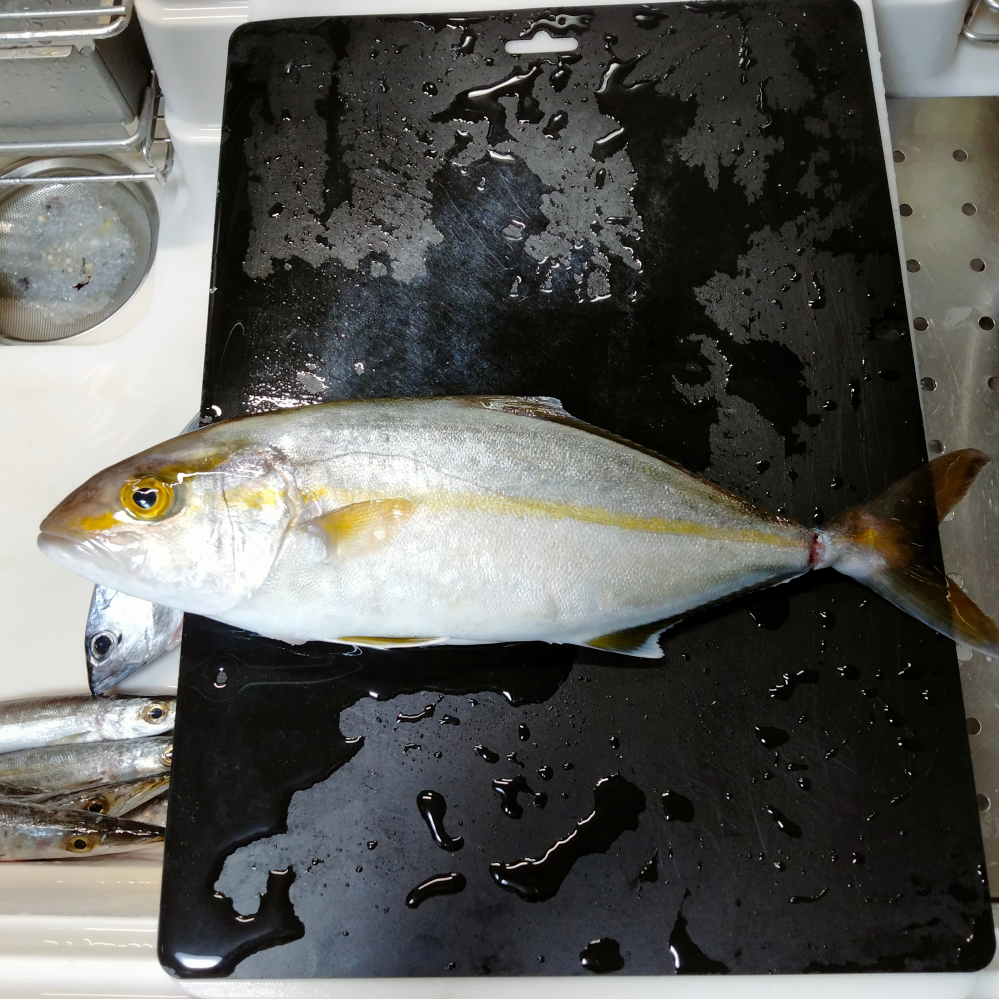 エギングロッドのメガバス海煙XXCXX－86Lかメガバス海煙