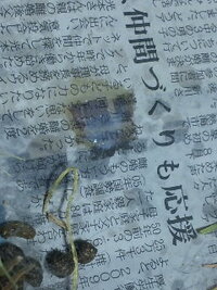 飼ってるうさぎがマウンティングした後に液体を出しました 生まれてか Yahoo 知恵袋