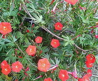 車のルームランプを一晩つけっぱなしにしてしまいました 翌朝気付 Yahoo 知恵袋