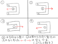 中2理科 磁界とコイルの動きについて 質問です コイル Yahoo 知恵袋