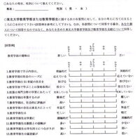 エクセルでこの棒線のアンケートを作れますか 文字のところはセル Yahoo 知恵袋