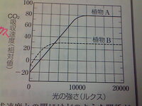 植物aと植物bについて 光の強さと二酸化炭素吸収速度との関係 Yahoo 知恵袋
