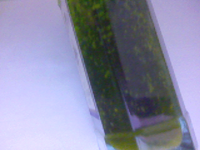 Arkにて 野生のビーバーを連れてきて壁でできた囲いに入れると巣作りをしたりし Yahoo 知恵袋