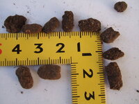 園芸でカブトムシの幼虫の糞を使ったことがある方はいますか 効果はどうですか Yahoo 知恵袋