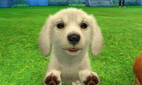 Nintendogs Catsのケンネルにて 1度ミニチュア Yahoo 知恵袋