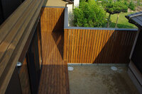 コニファーについてお聞きします 隣家との目隠しにコニファーを植え Yahoo 知恵袋