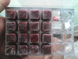 冷凍アカムシの上手な分け方 冷凍アカムシを飼っている魚た Yahoo 知恵袋