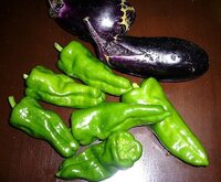 ピーマンが細長くなる原因を全て教えて下さい 草勢もよく立派何ですが実が細長い Yahoo 知恵袋