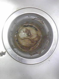 キッチン排水溝カビ お恥ずかしいですが 放置しすぎて排水溝 Yahoo 知恵袋