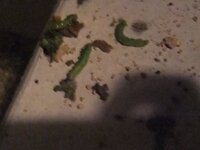 癇に障ると癪に障るって どう違うんですか 自分も気になっていたので調 Yahoo 知恵袋