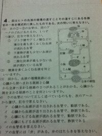 中２理科テスト問題 期末テストの問題なんですけど問題用紙を失くして困 Yahoo 知恵袋