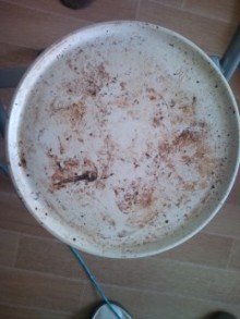 陶器のお皿が電子レンジで焦げがこびりついてしまいました。きれい