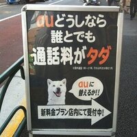 ソフトバンクのお父さんは何代目の犬ですか 現在は２代目の海斗くんです Yahoo 知恵袋