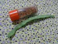 生理前ﾋﾟﾝｸのおりものについて 長文失礼します 中傷的なご意見は ご遠慮 Yahoo 知恵袋