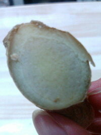 生姜の切り口が 青くなってるんですが これは何でしょうか 農薬 カビ Yahoo 知恵袋
