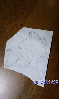 魚の絵を絵の具で塗るのですがどんな色がいいのでしょうか 種類 Yahoo 知恵袋