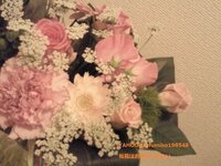 カスミソウに似た花を探しています 母が昔 育てていた花で 今は枯れ Yahoo 知恵袋