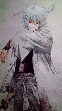 銀魂坂田銀時 白夜叉桂小太郎 狂乱の貴公子高杉晋助 鬼兵隊総督坂本辰馬 声 Yahoo 知恵袋