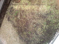 かっこいいmiiの作り方を教えてください 芸能人とかではないです Yahoo 知恵袋