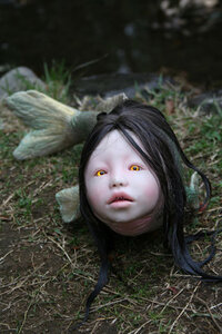 これが人面魚なんですか ポニョのおねーさんです き Yahoo 知恵袋