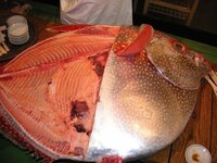 この魚は銀ムツで良いのですか 伊豆大島沖で釣ったそうですが Yahoo 知恵袋