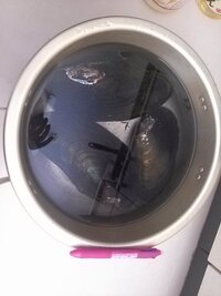 川でドブ貝を捕まえました 食べたことがある方感想をお聞かせください又 ど Yahoo 知恵袋