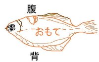 魚の配膳は 頭が左 腹側が手前は鉄則ですよね ただ サンマの開き Yahoo 知恵袋