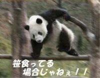 飼育員の年収はどのくらいなのですか 公立の動物園なら公務員です Yahoo 知恵袋