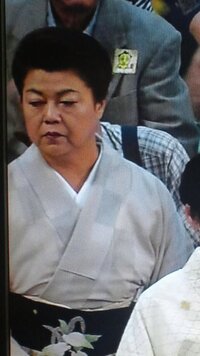 毎日大相撲を見ています テレビに写るお客さんが気になります和 Yahoo 知恵袋