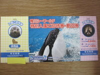 チケットに穴 これは 問題なく使えますか 鴨川シー Yahoo 知恵袋