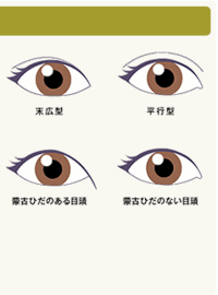 末広二重と平行二重どっちが可愛いと思いますか 可愛いのは末広二重だと思 Yahoo 知恵袋