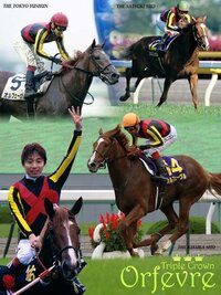 土 日競馬でト タル約マイナス12万と惨敗の私ですが日本馬の Yahoo 知恵袋