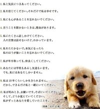 犬の十戒 を1 10全て中国語に訳してください 文字小さくてすみません Yahoo 知恵袋