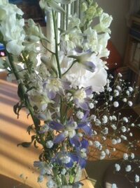花瓶のこの花3種の名前わかりますか 白カーネーション以 Yahoo 知恵袋