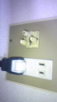 ペットの誤飲 犬が床に落としてしまった消しゴムを食べてしまったようです 病 Yahoo 知恵袋