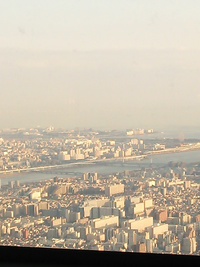 スカイツリーからの景色です これは東京ディズニーシーのプロメテウス火山と Yahoo 知恵袋