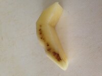 お店で買ったじゃがいもに虫が入ってました 穴が空いてるなと思 Yahoo 知恵袋