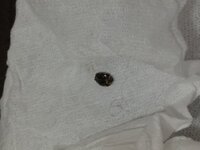 次の文を英語にしてください お願いします 床をじゅうたん Yahoo 知恵袋