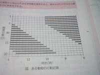 時計の数え方は一個でいいでしょうか よろしくお願いします 自分は時 Yahoo 知恵袋