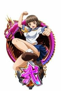 一騎当千の張飛のようなキャラクターが物凄く好きなのですがこの類いのキャラ Yahoo 知恵袋