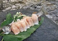 よく川魚は寄生虫がいると聞きますが どうしたら問題なく食べられます Yahoo 知恵袋