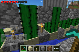 Minecraft サボテン 入手 セカールの壁