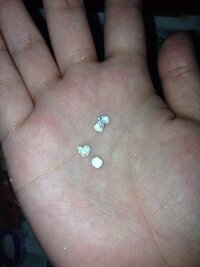 部屋の床に白いものが付いていたんですが これは虫の糞なんでしょうか 前にも見か Yahoo 知恵袋