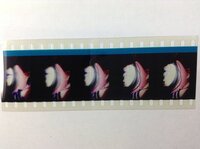 映画の来場者特典のフィルムの保存について質問です 映画の切り出しフィルム Yahoo 知恵袋