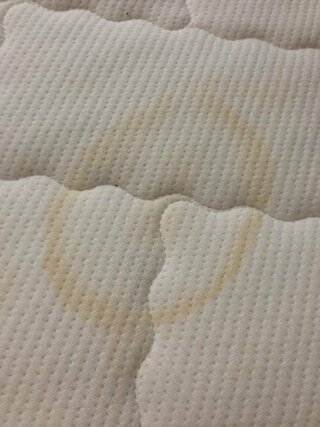 タンパク質汚れの落とし方 ベッドのマットレスにシミがついてしまいました Yahoo 知恵袋