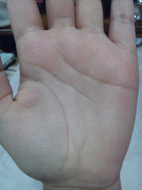 私は両手の手相がky線です あまり両手にky線を持ってる人と会わないのですが Yahoo 知恵袋