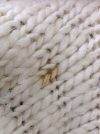 ニットに付いた黄ばみをワイドハイターで取りたいんですが取れますか？ ... - Yahoo!知恵袋