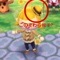とびだせどうぶつの森で主人公の容姿って変更できますか 子供が最初に登録 Yahoo 知恵袋