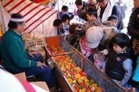 お祭りなど屋台でひよこを買いニワトリまで育てた人いますか Yahoo 知恵袋