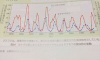 生物 生態系のバランスなぜカンジキウサギとオオヤマネコは上がったり下がっ Yahoo 知恵袋